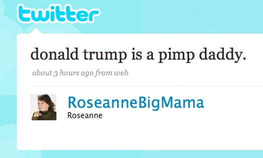 Roseanne's Twitter