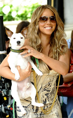 Mariah Carey from Celebrity Pets: Miley Cyrus' Puppy, Taylor Swift's ...