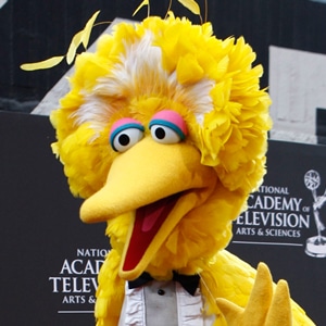 Big Bird