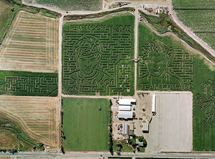 Twilight Corn Maze