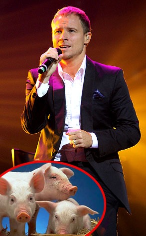 Brian Littrell, Pigs