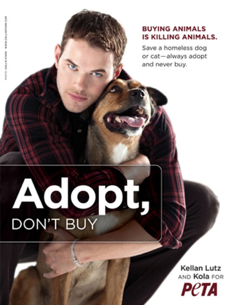 Kellan Lutz, Peta Ad