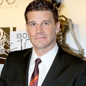 David Boreanaz