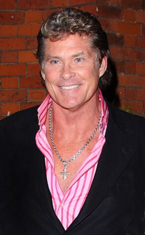 Next photo of David Hasselhoff