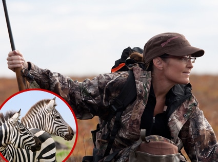 Sarah Palin, Zebras