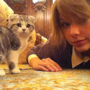 Taylor Swift Tweets Photos Of New Bff An Adorable Kitten Named Meredith E Online