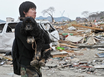 Japan, Tsunami, Earthquake, Man carrying dog