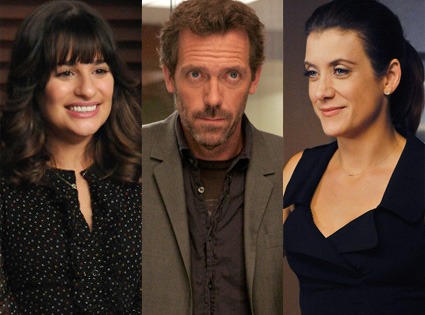 Lea Michele, Glee, Hugh Laurie, House, Kate Walsh, Private Practice
