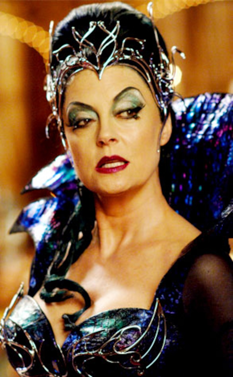 Susan Sarandon, Enchanted