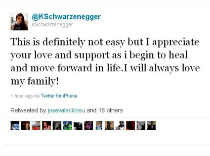 Schwartzenegger, Twitter