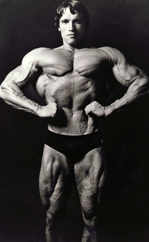 arnold palmer lebron 9