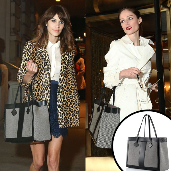 Jason wu 2025 tote bag