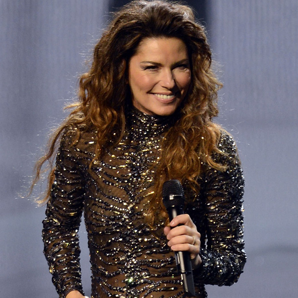 Shania Twain Is 50: 15 Sexy Looks That Impressed Us Much