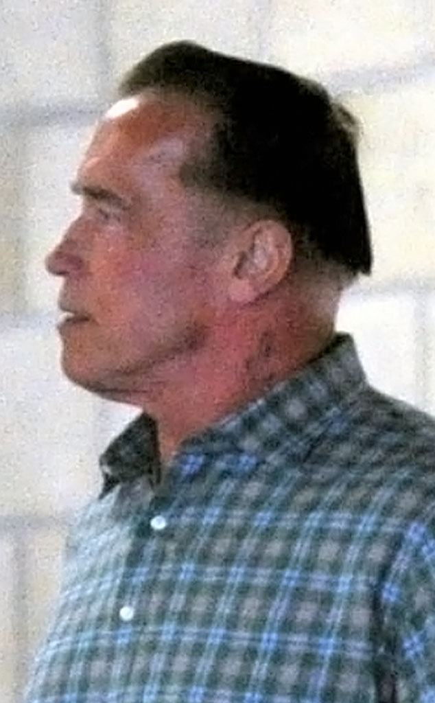 Arnold Schwarzenegger nos muestra el corte de pelo más feo que hemos  visto... - E! Online Latino - MX