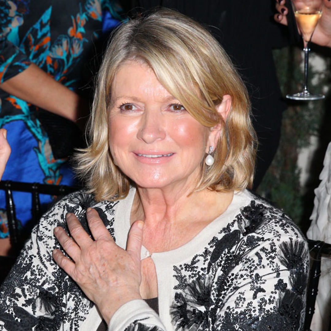 martha stewart got salmonella from thanksgiving turkeys martha stewart got salmonella from thanksgiving turkeys