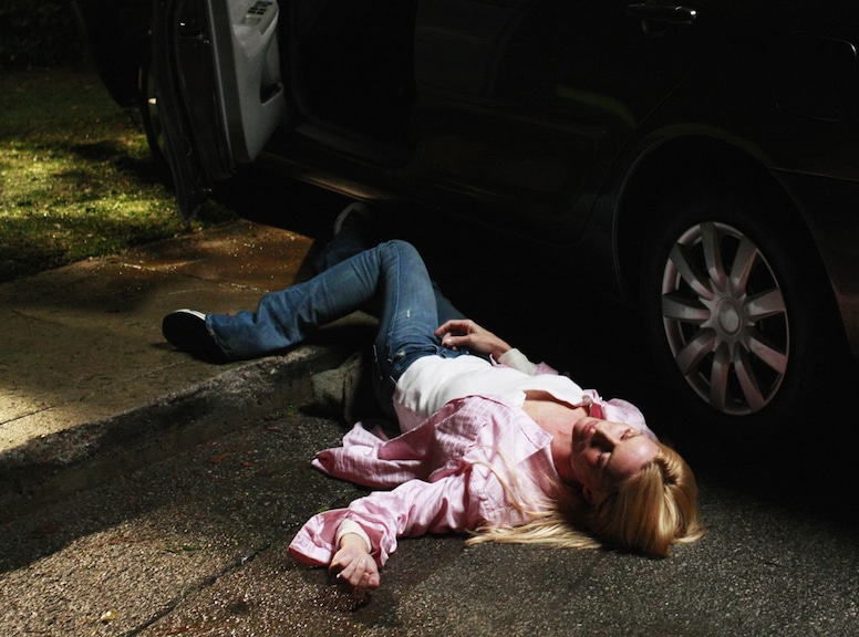 Nicollette Sheridan, Desperate Housewives