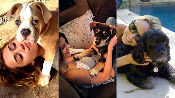 Miley Cyrus, Selena Gomez, Stacy Keibler, Puppy, Twitter