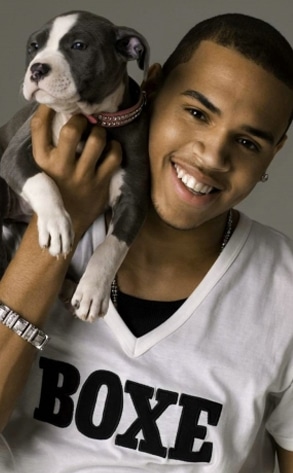 Chris Brown, Puppy