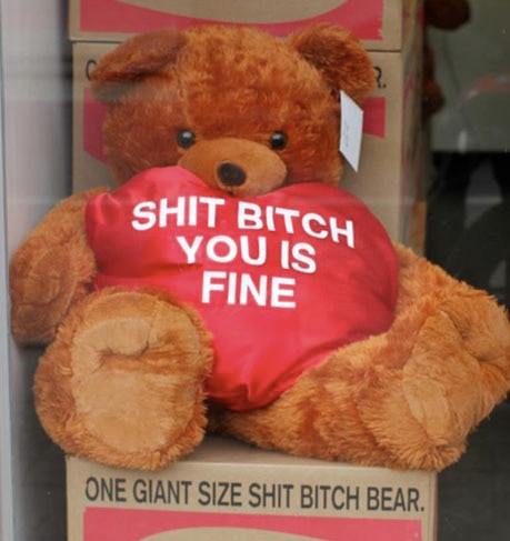 vulgar teddy bear