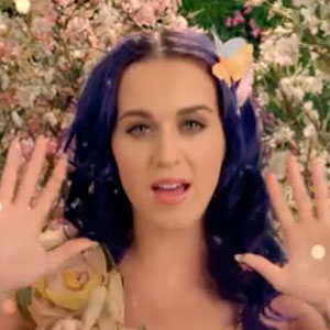 Katy Perry Knocks Out Prince Charming in 