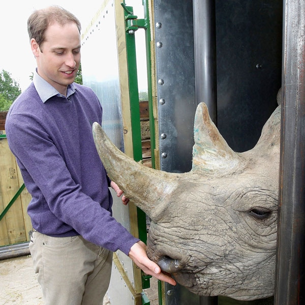 Prince William, Duke of Cambridge