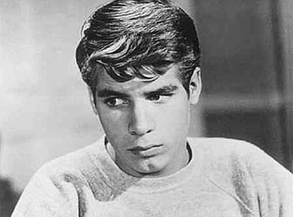 Mouseketeer, My Three Sons Star Don Grady Dies | E! News