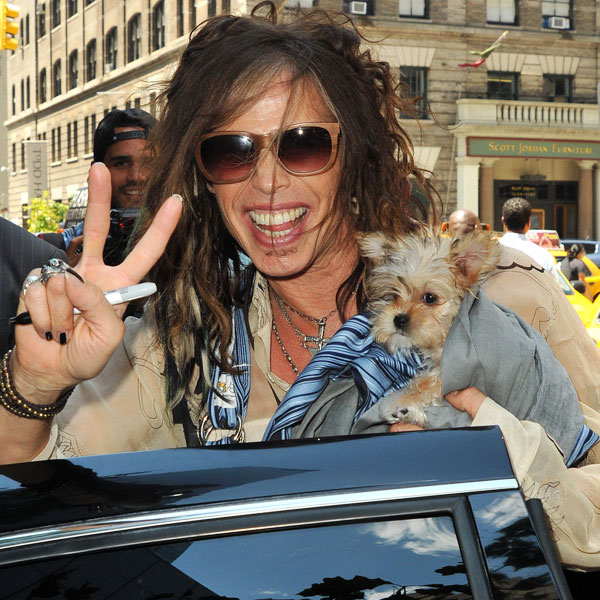 Steven Tyler on Act Passing in Hawaii: I Can Walk Around Naked