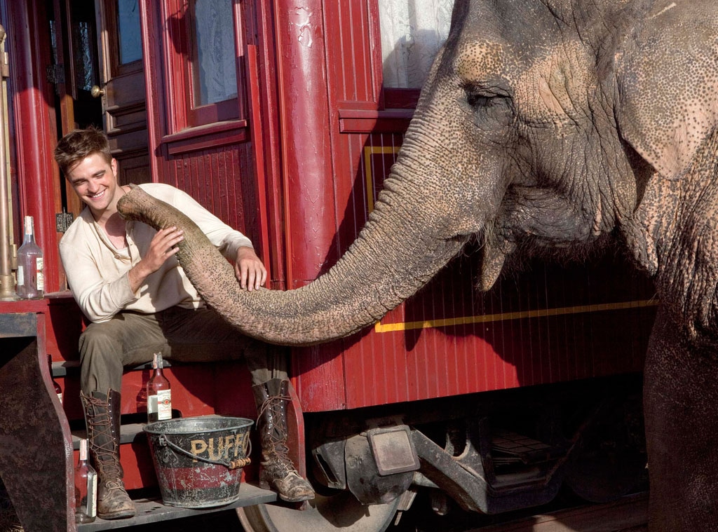 Water for Elephants, Robert Pattinson