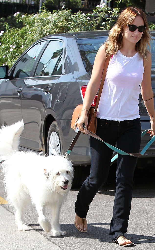 Olivia Wilde from Celebrity Pets: Miley Cyrus' Puppy, Taylor Swift's ...