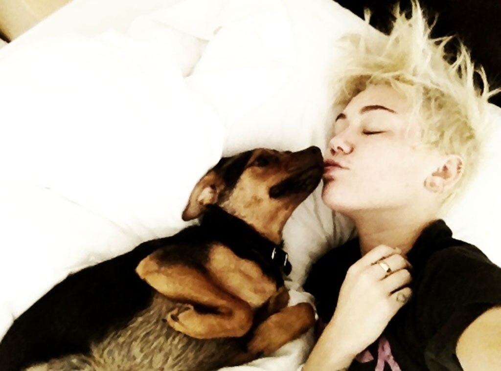 Miley Cyrus from Sleeping Celebrities E! News