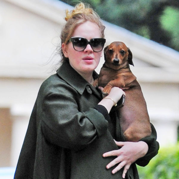 Adele and Her Baby Bump Look Lovely in London E! Online