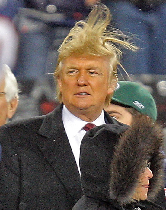 Blown out hairdo of donald trump editorial photography Blowin In The Wind | E! News