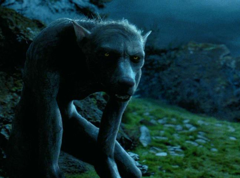 Photos from The 15 Best Werewolves Ever - E! Online