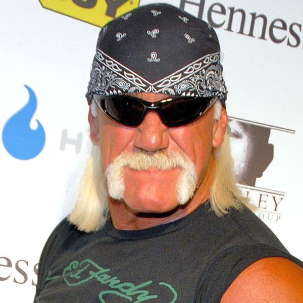 Hulk Hogan sued over son's crash