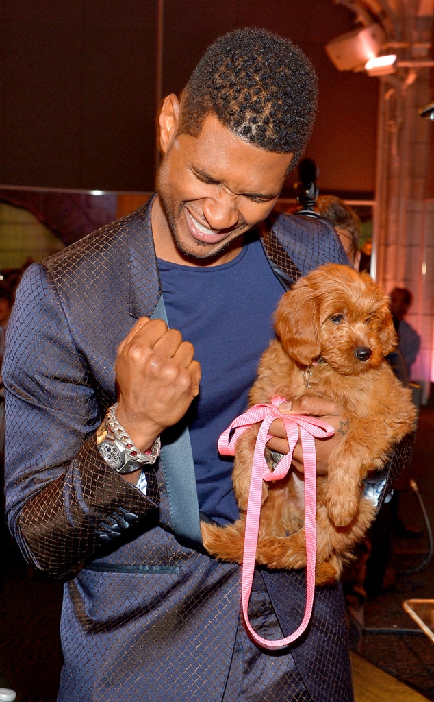Usher, Puppy