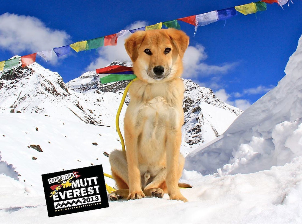 Rupee, Mutt Everest Expedition
