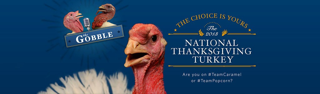 National Thanksgiving Turkey, Obama