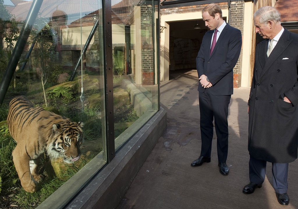 Prince William, Prince Charles, Tiger