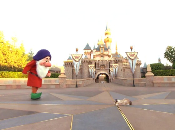 Resultado de imagen de disneyland cats