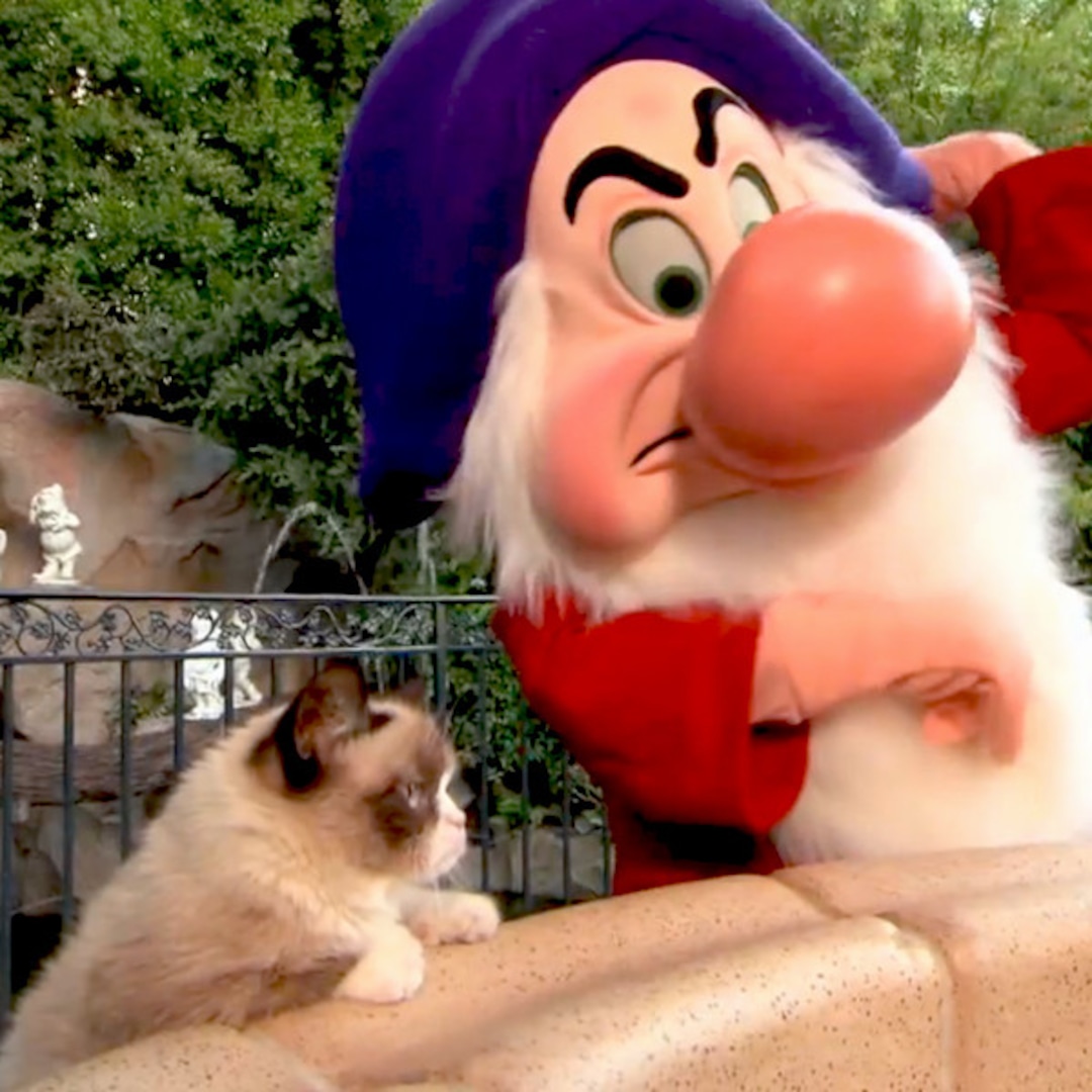 Grumpy Cat Went to Disneyland and Hated Every Minute of It