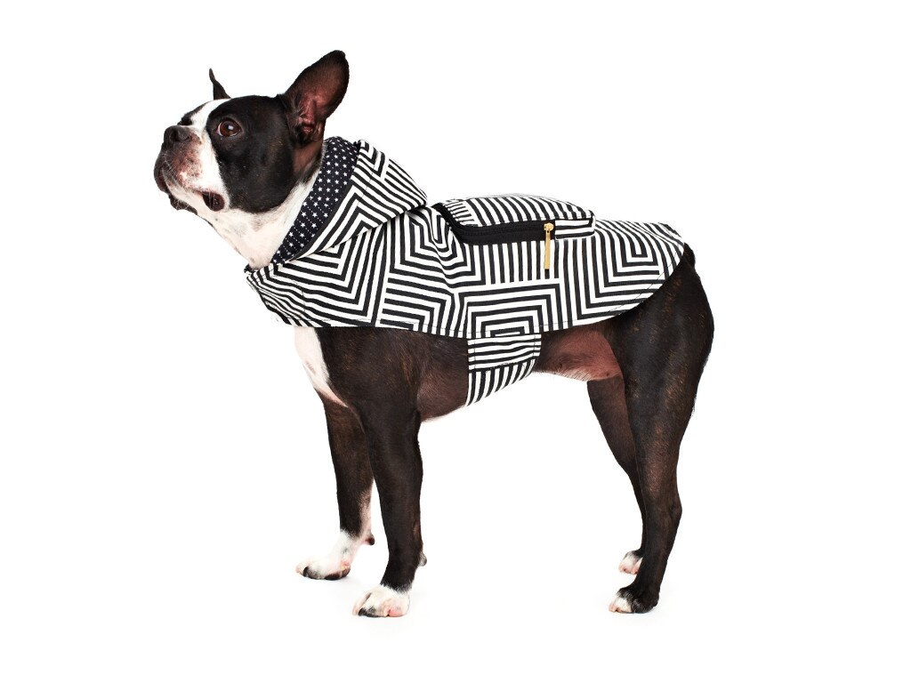 kate spade dog sweater