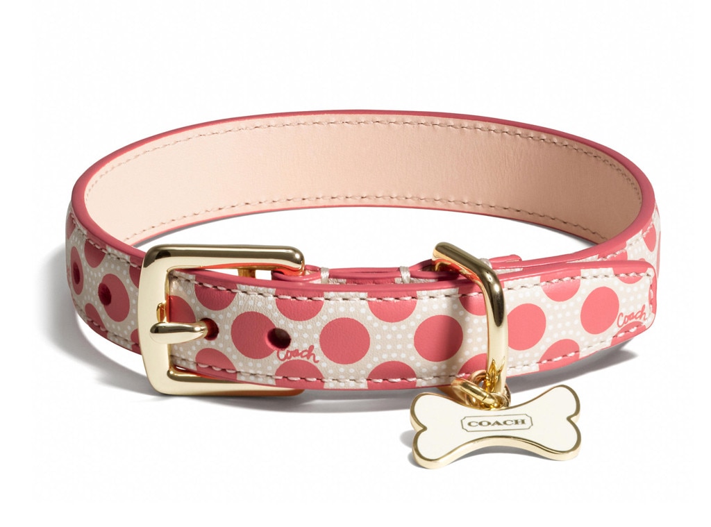 kate spade dog leash