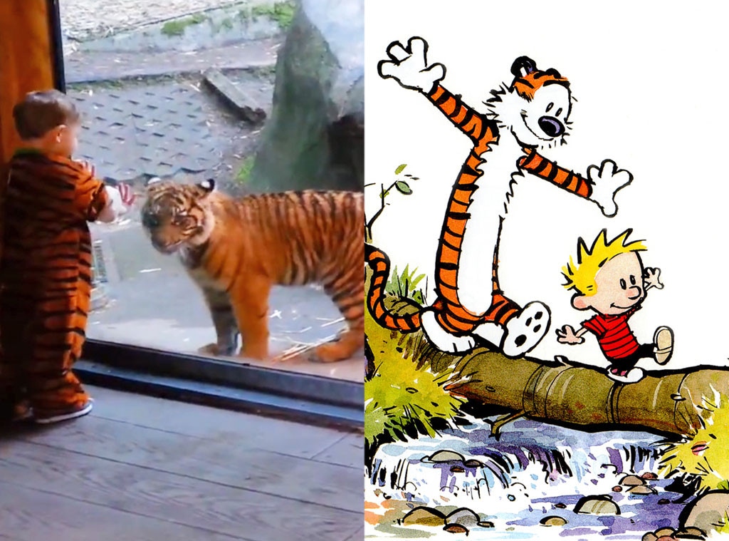 Tiger Cub, Kid, Calvin and Hobbes