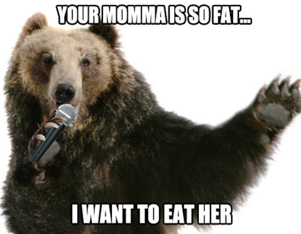 rs_560x396-131107145810-YOUR_MOMMA_IS_SO_FAT.jpg