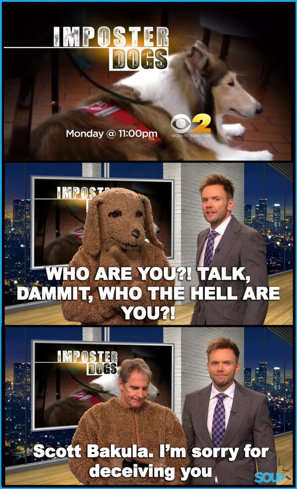 Imposter Dogs from The Soup In Pictures E! News
