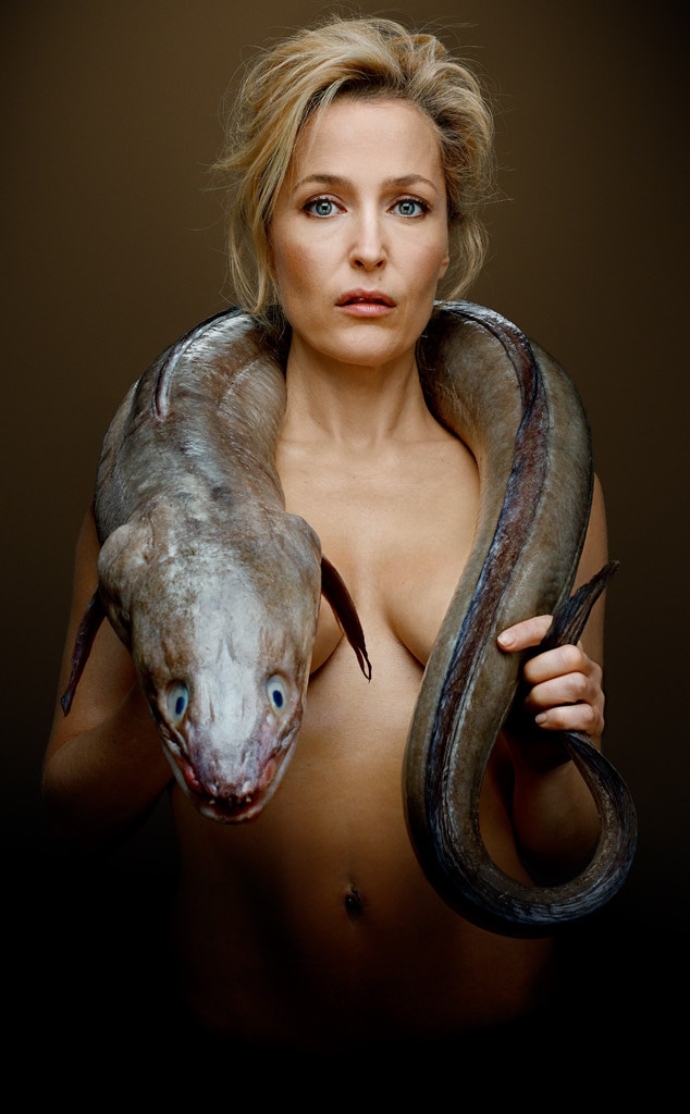 Gillian Anderson, Fishlove