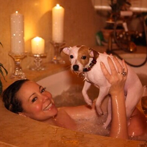 2 dogs in a hot sale bathtub