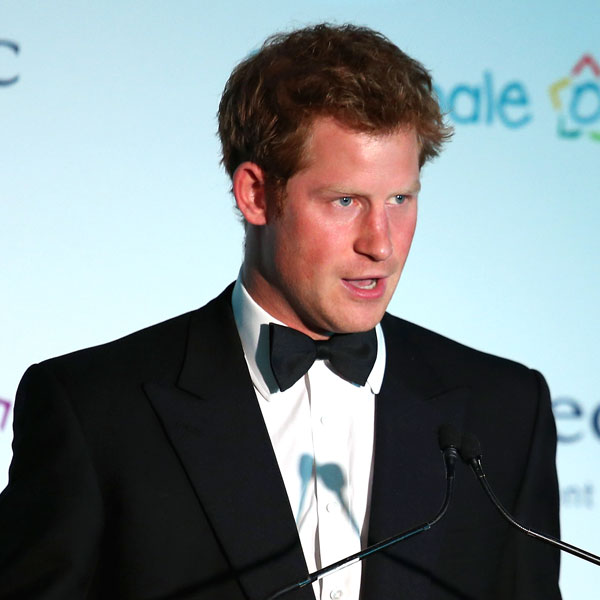 Prince Harry Talks Charity Work Hopes Princess Diana Will Be Proud Of Him E Online