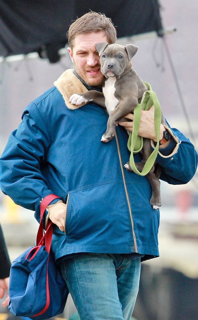 Tom Hardy Loves Dogs—See Photos of the Actor With His Furry Friends!