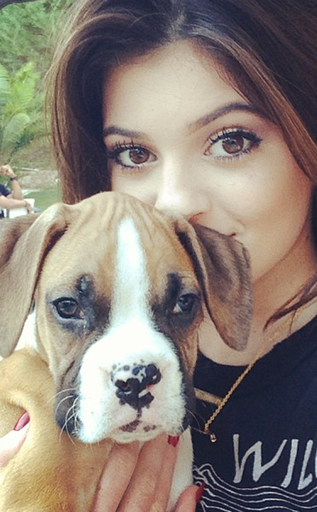 Kylie Jenner, Puppy